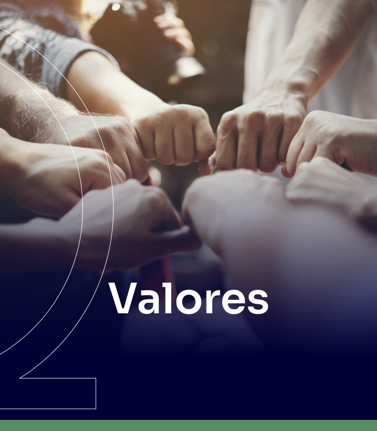 Valores