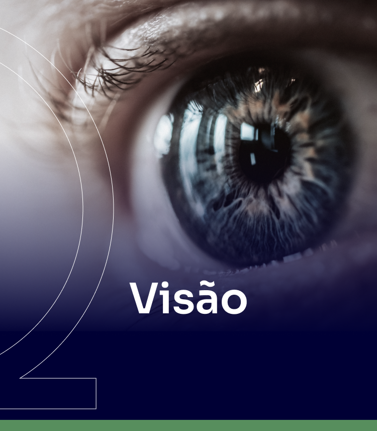 Visão