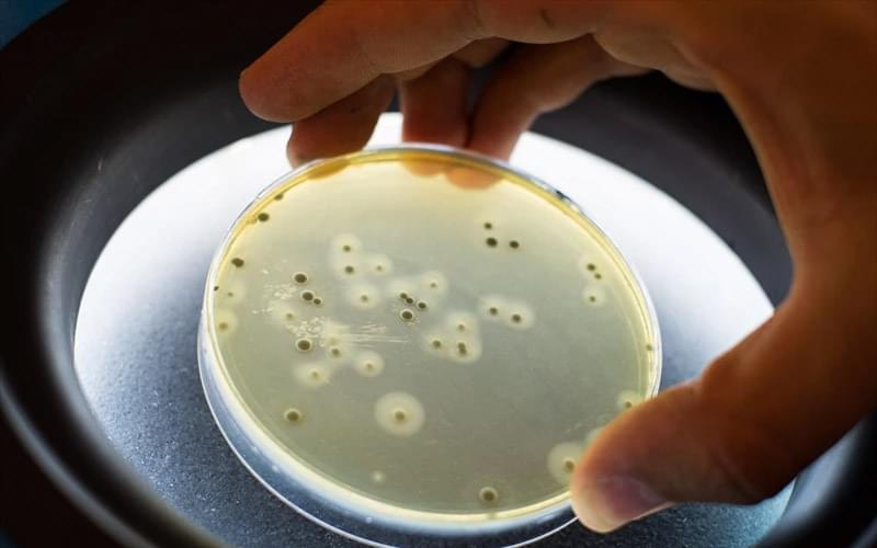 Interpretação de Certificados de Qualificação de Autoclaves e Estufas