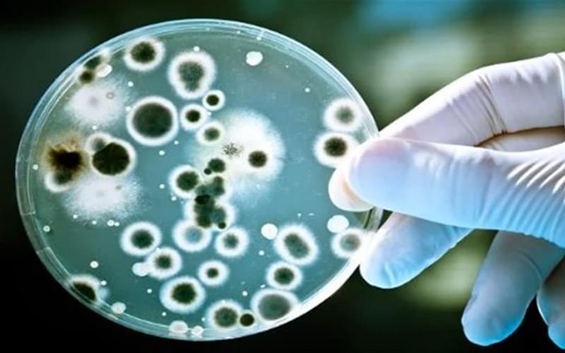 Preparos de Meios de Cultura e seus Controles de Qualidade